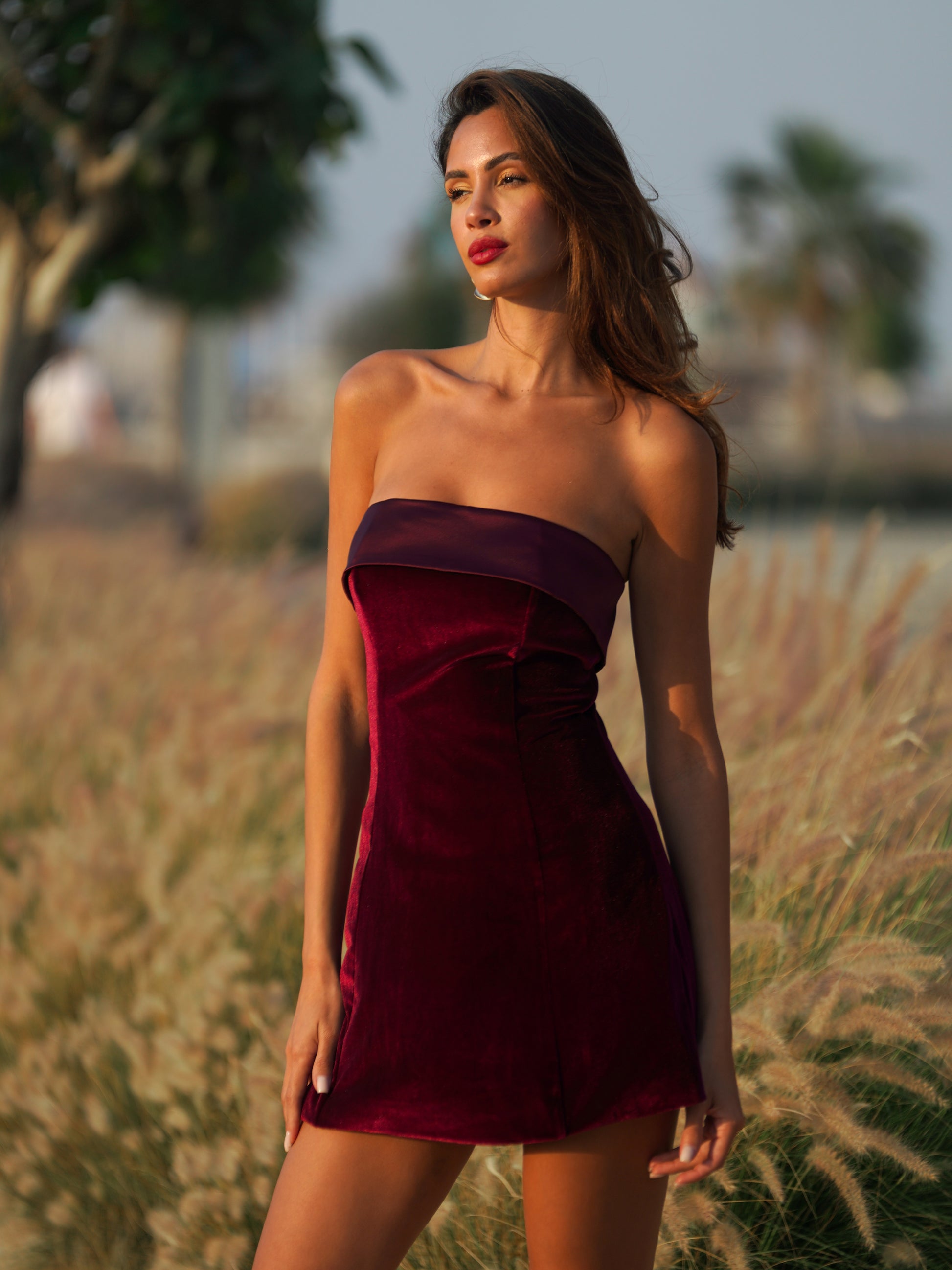 Merlot Mystique Red Velvet Mini Dress - House of Pinks USA